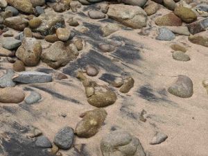 海岸の黒い砂、正体は？